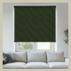 Ivy - Thumbnail Image 2