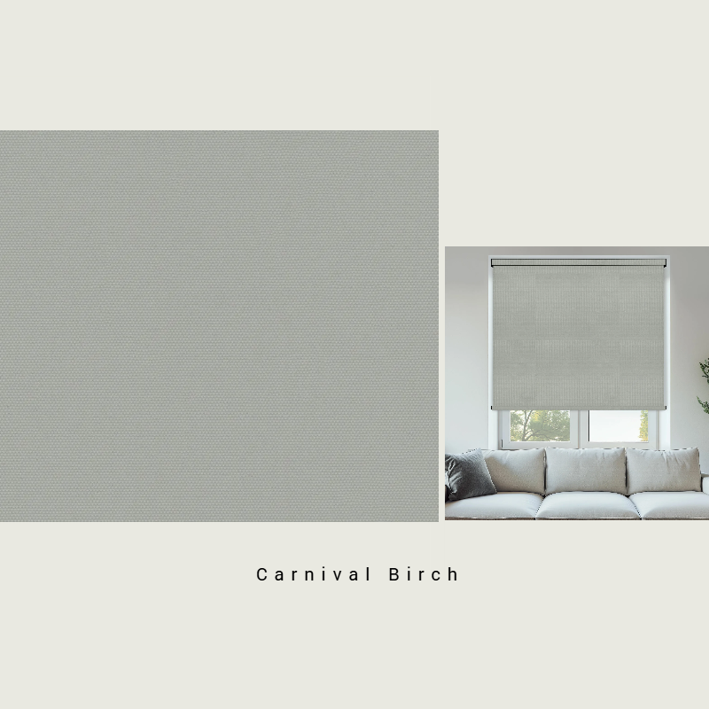 Carnival Birch - Image 3