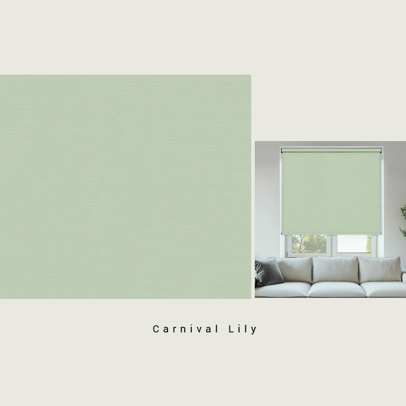 Carnival Lily - Image 3