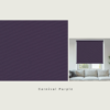 Carnival Purple - Thumbnail Image 3