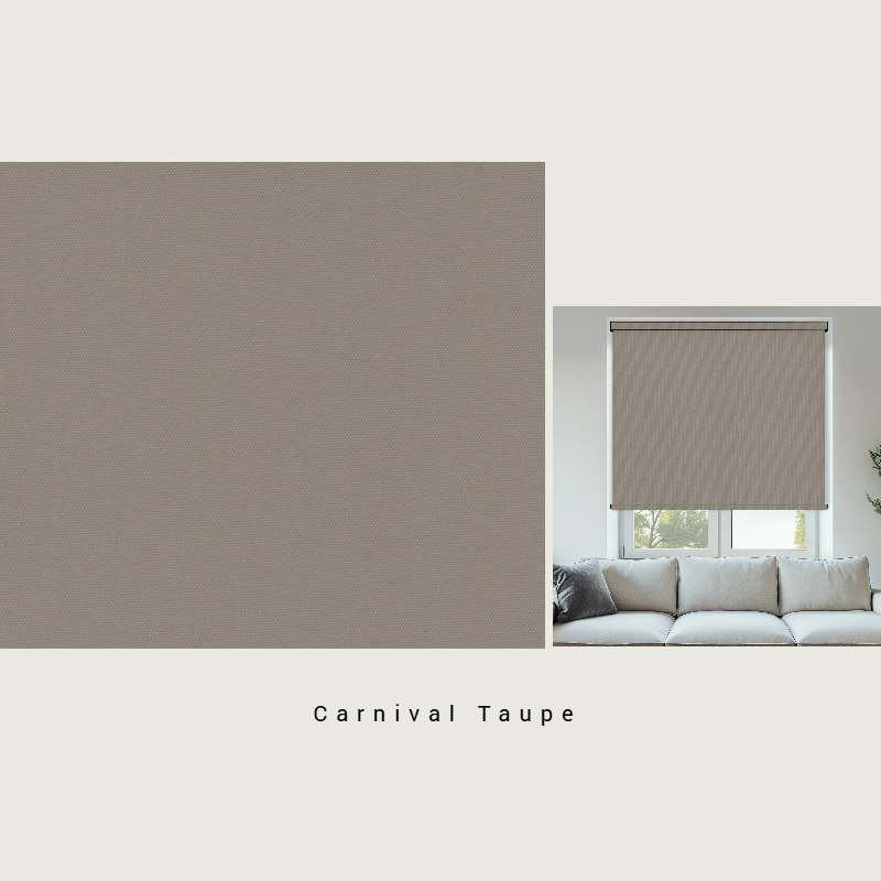 Carnival Taupe - Image 3