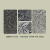 Botanica White with Black - Thumbnail Image 4